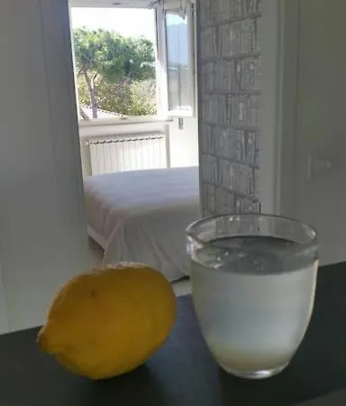 Attico Sui Pini Forte dei Marmi